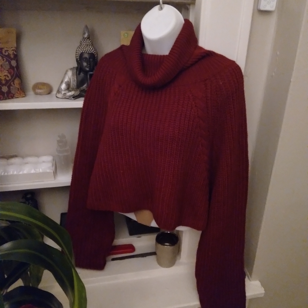 Fashion nova sweater Essue.